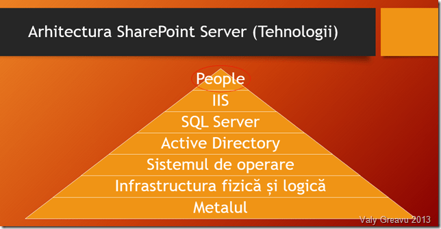 Viziune proprie despre arhitectura SharePoint Server